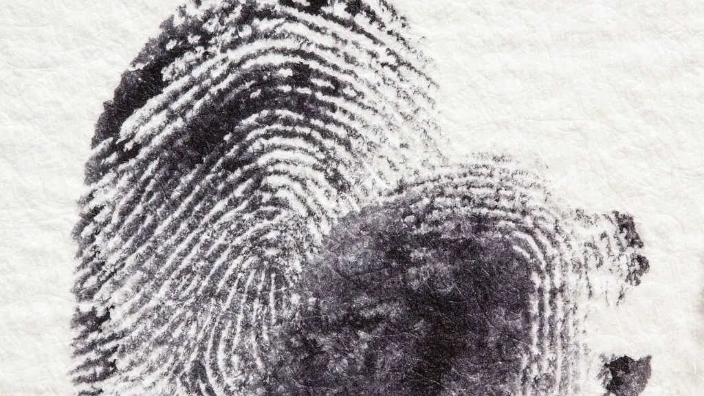 How long does cornerstone cia background check take?